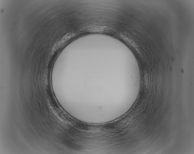 X0000081600682200702121550