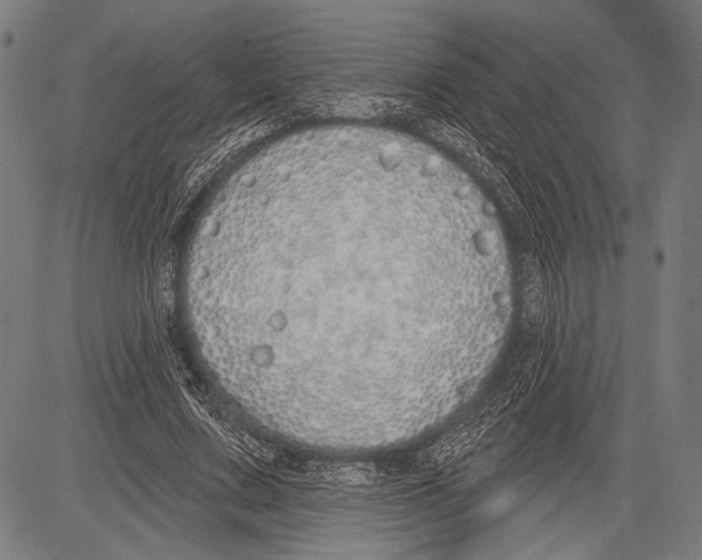 X0000081600683200702121550