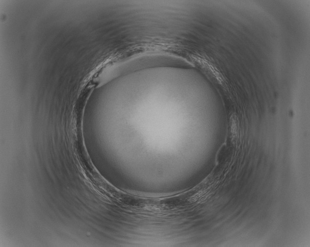 X0000081600684200702121550