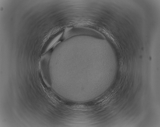 X0000081600685200702121550