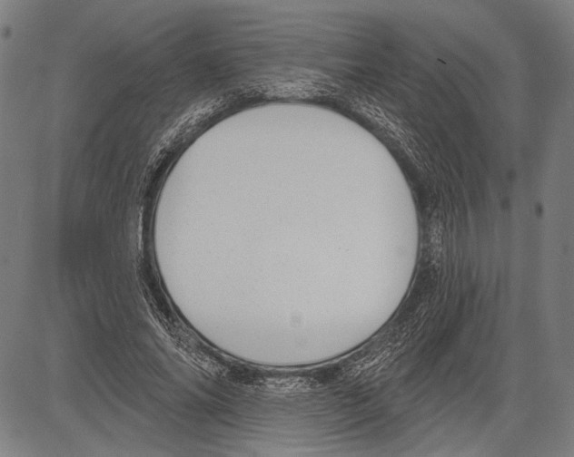 X0000081600686200702121550