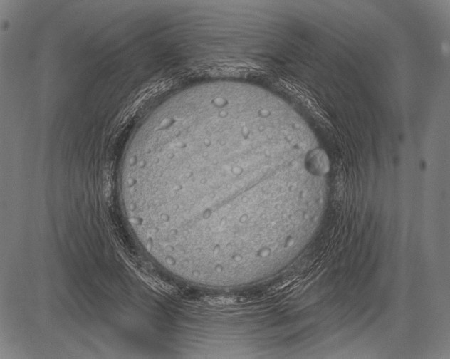 X0000081600687200702121550