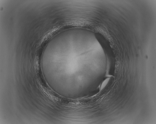 X0000081600688200702121550