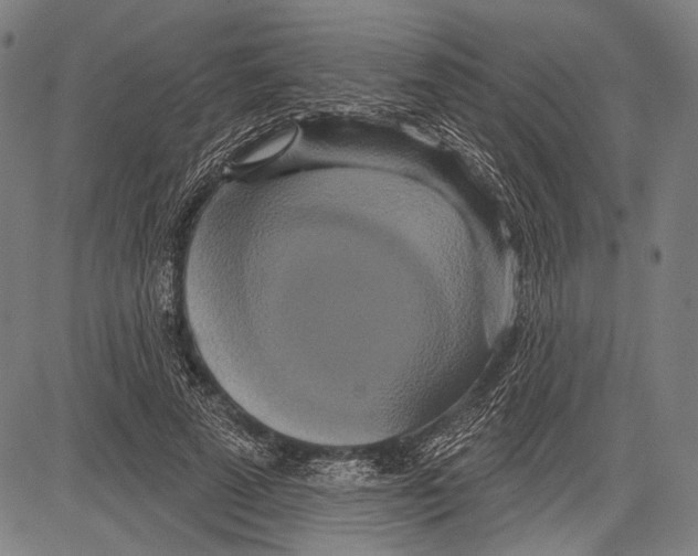 X0000081600689200702121550