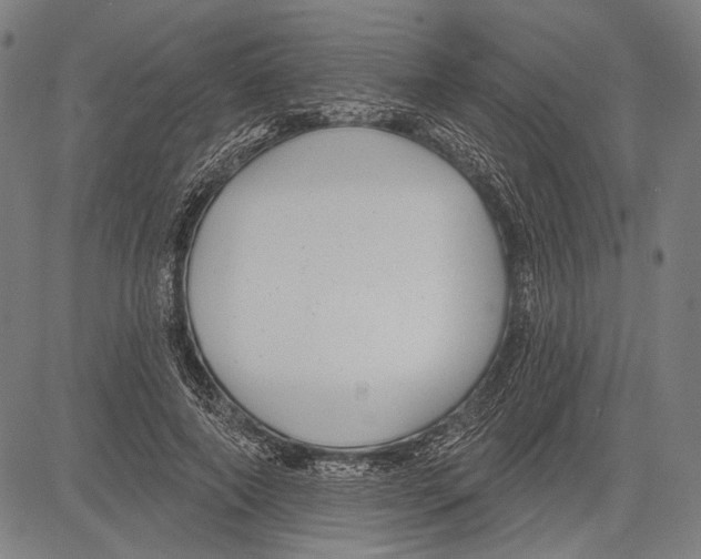 X0000081600690200702121550