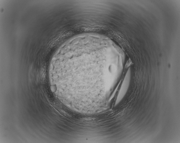 X0000081600691200702121550