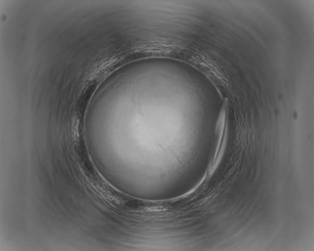 X0000081600692200702121550