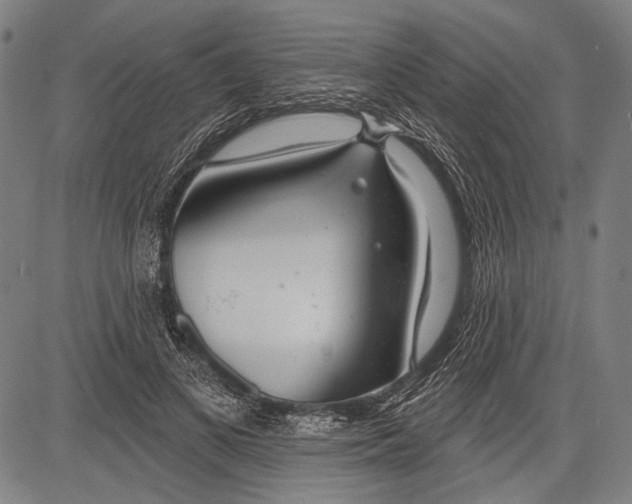 X0000081600693200702121550