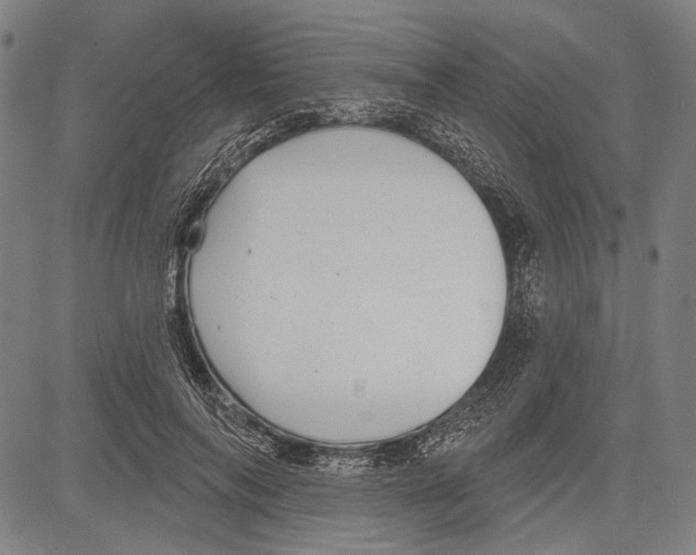 X0000081600694200702121550