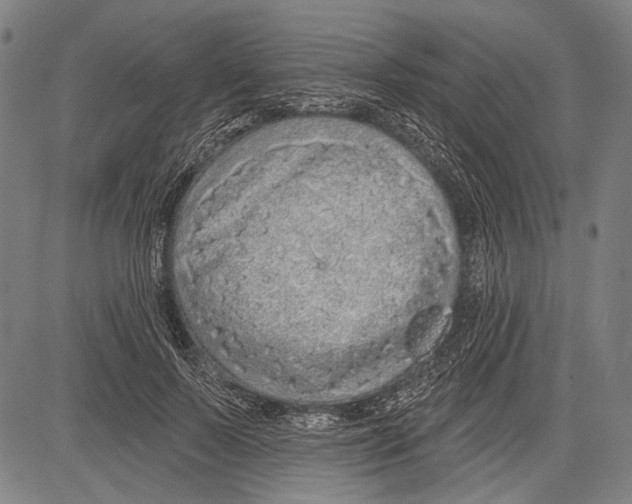 X0000081600695200702121550