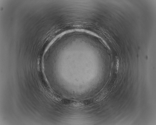 X0000081600696200702121550