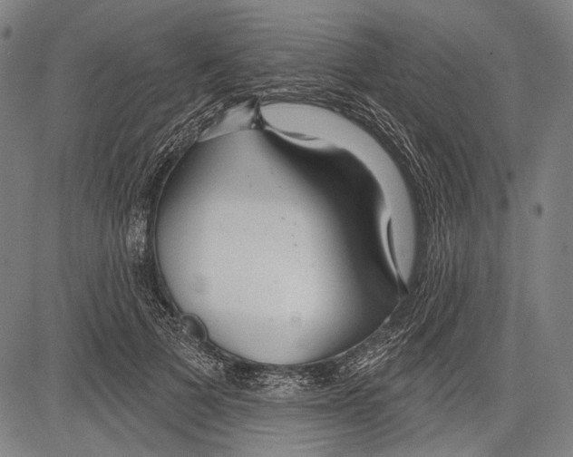 X0000081600697200702121549