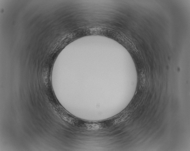 X0000081600698200702121549