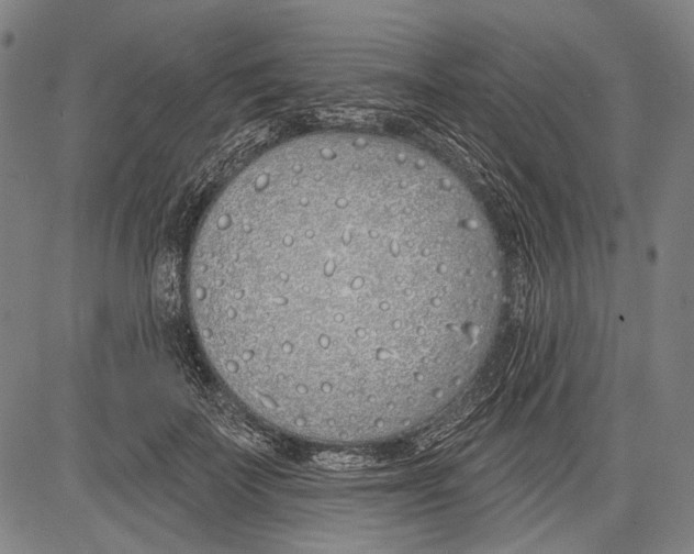 X0000081600699200702121549