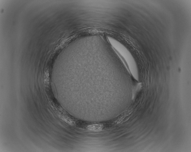 X0000081600700200702121549