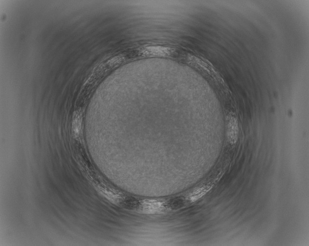 X0000081600701200702121549