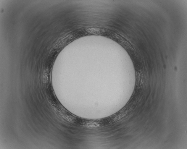 X0000081600702200702121549