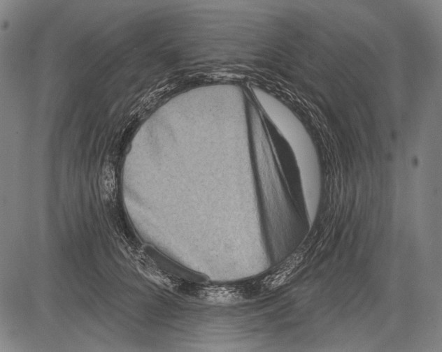 X0000081600704200702121549