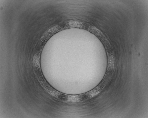 X0000081600705200702121549