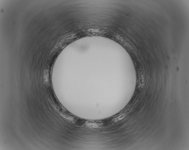 X0000081600706200702121549