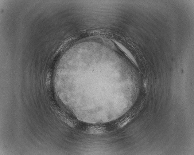 X0000081600708200702121549