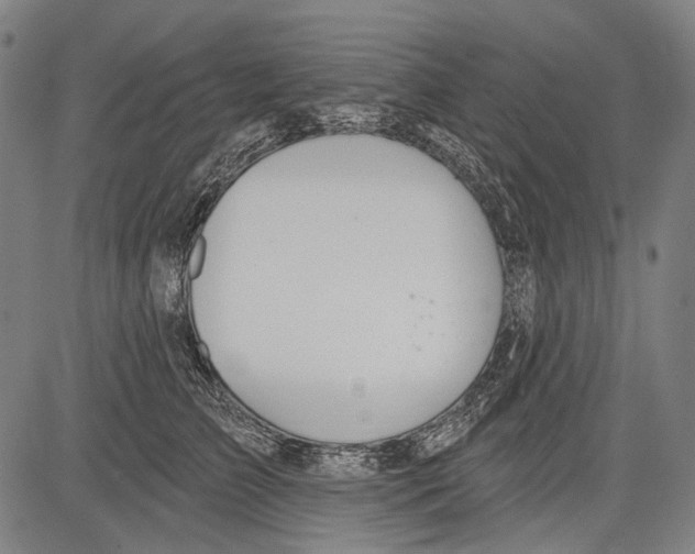 X0000081600709200702121549