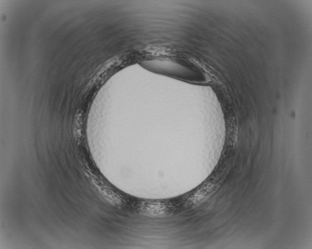 X0000081600710200702121549