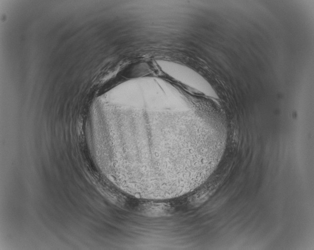 X0000081600711200702121549