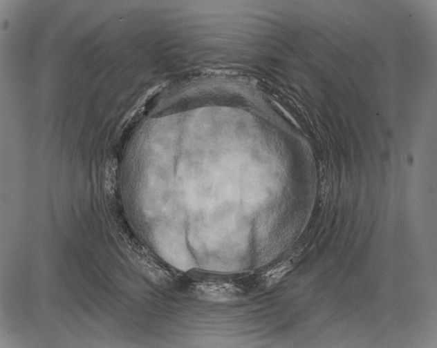 X0000081600712200702121549