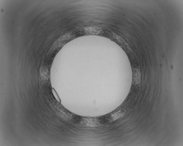 X0000081600713200702121549