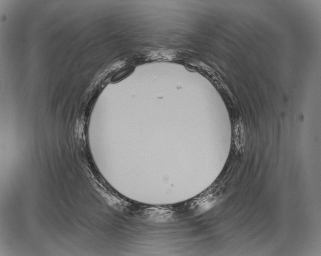 X0000081600714200702121549