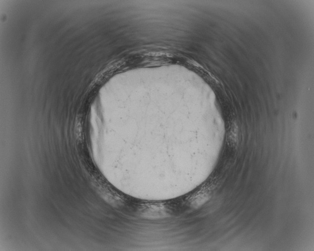 X0000081600715200702121549