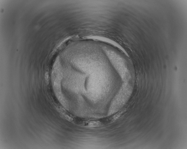 X0000081600716200702121549