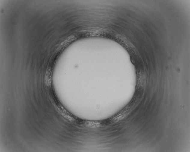 X0000081600719200702121549