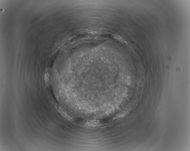 X0000081600720200702121549