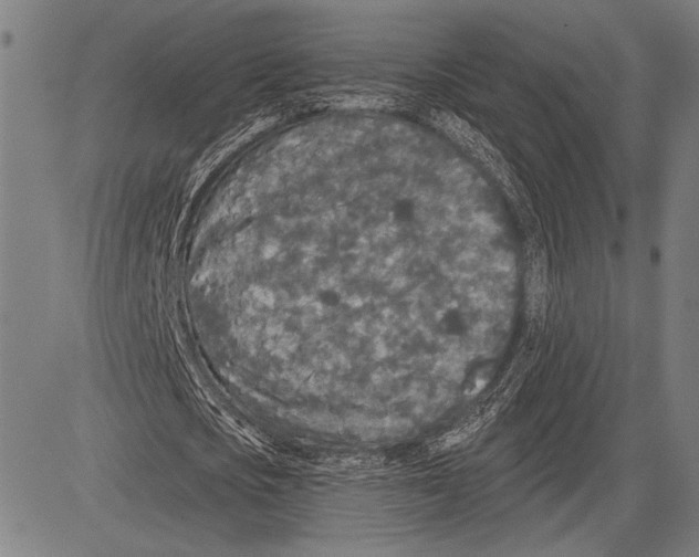 X0000081600721200702121548