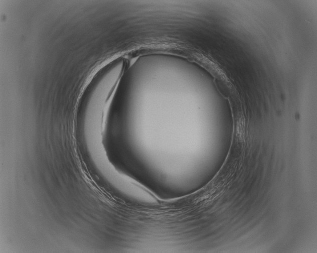 X0000081600724200702121548