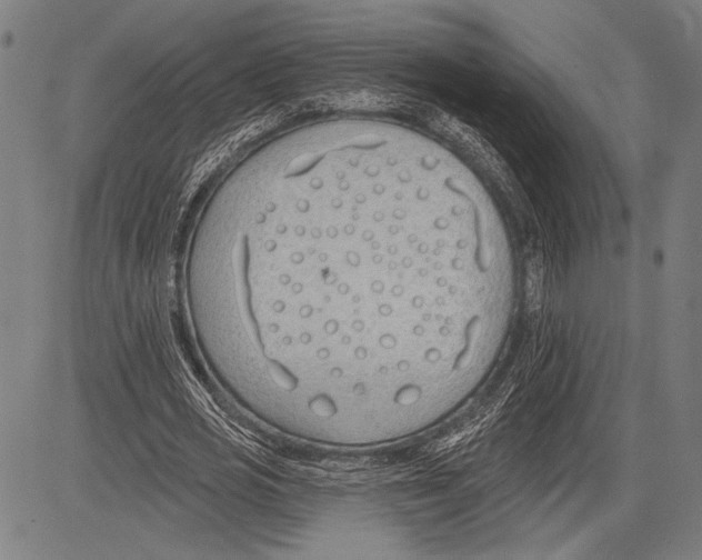 X0000081600725200702121548