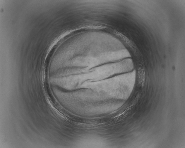 X0000081600726200702121548