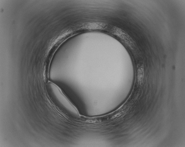 X0000081600727200702121548