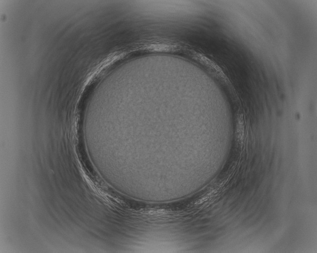 X0000081600730200702121548