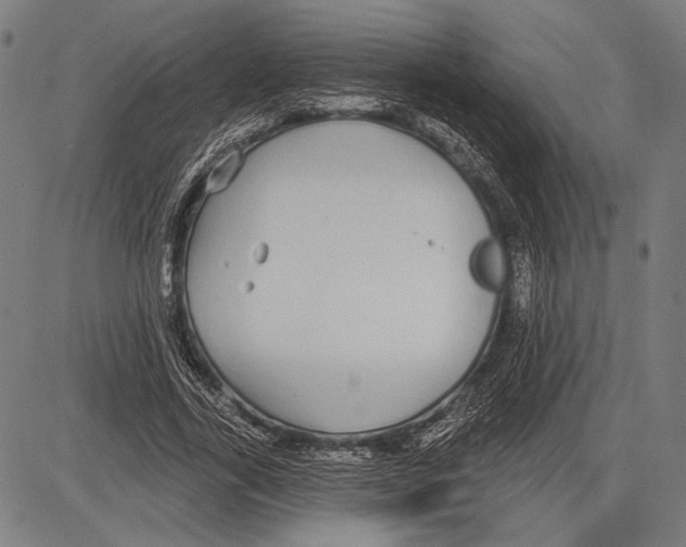 X0000081600731200702121549