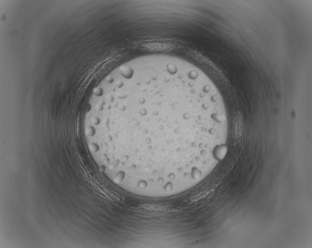 X0000081600733200702121549