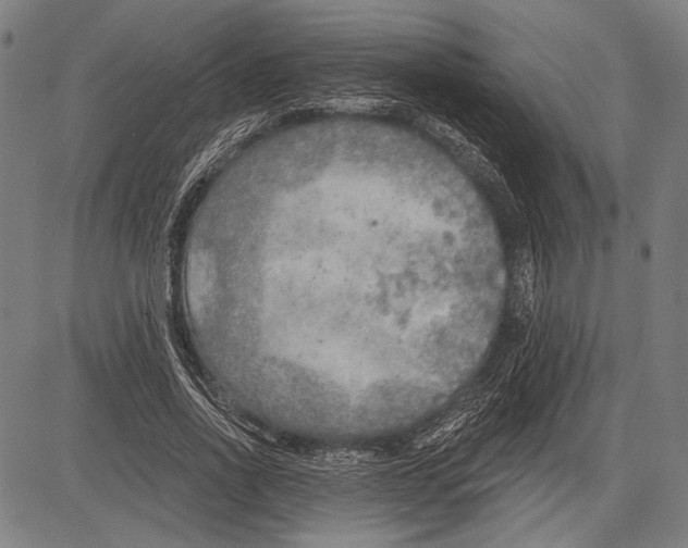 X0000081600734200702121549