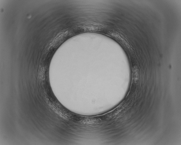 X0000081600738200702121549