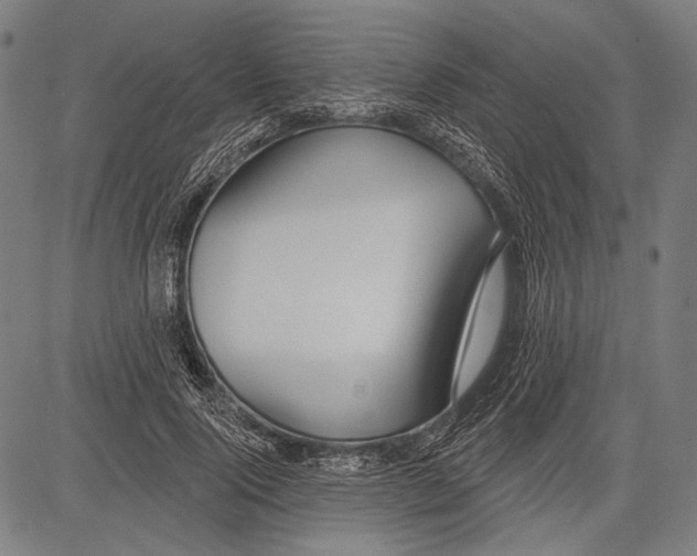 X0000081600740200702121549