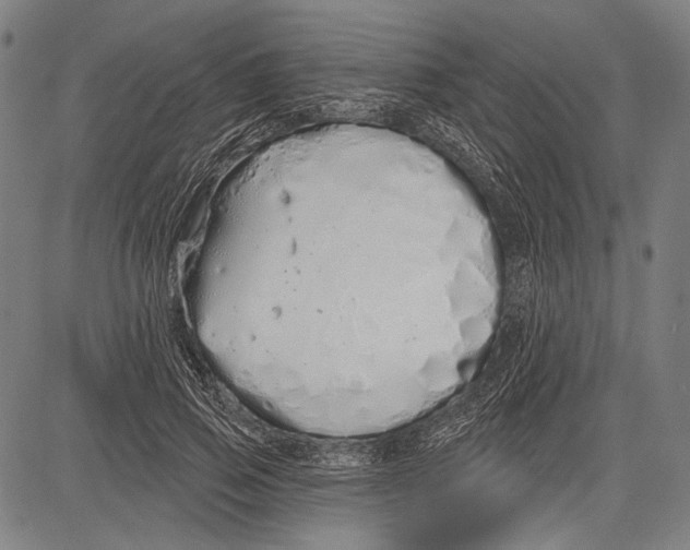 X0000081600741200702121549