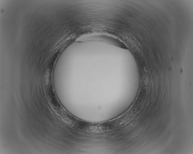 X0000081600744200702121549