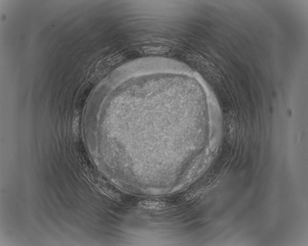 X0000081600745200702121549