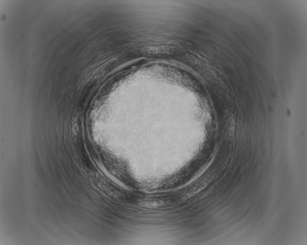 X0000081600746200702121549